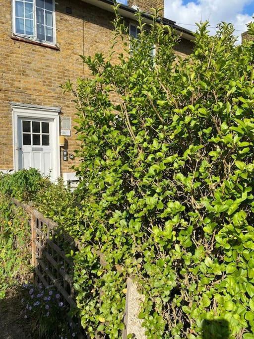 One Bedroom Putney Village Flat Londýn Exteriér fotografie