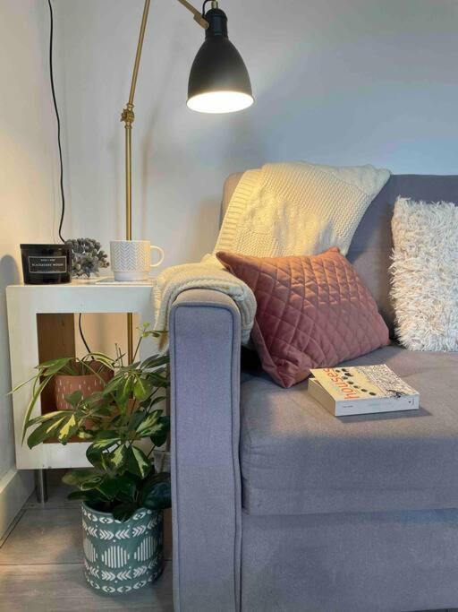 One Bedroom Putney Village Flat Londýn Exteriér fotografie